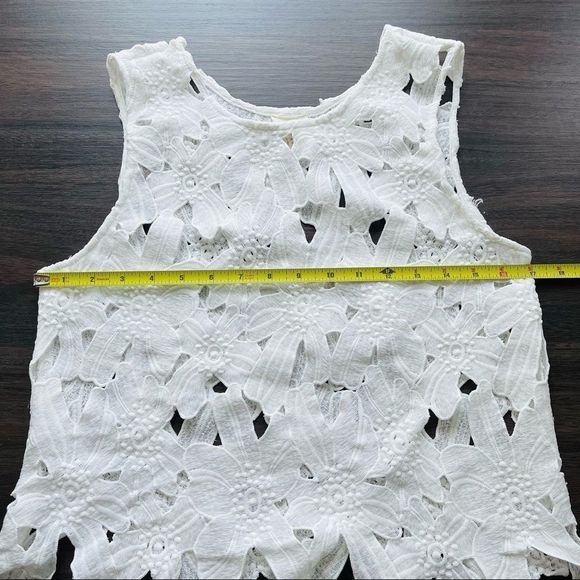 Caution the the Wind White Appliqué Crop Top - Picture 9 of 14